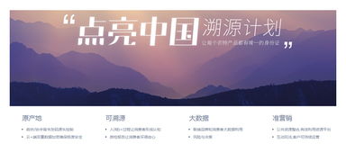 2016年阿里巴巴商業(yè)服務(wù)生態(tài)報(bào)告 個(gè)人商務(wù)服務(wù)的崛起與變革